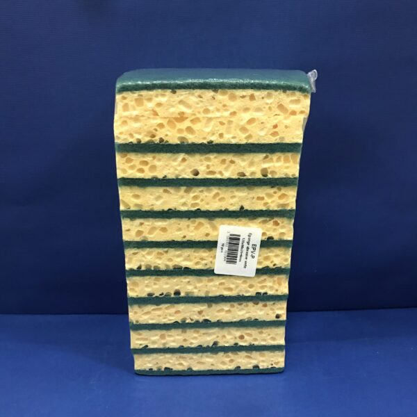 Éponges Abrasives Maxi 10 Éponges