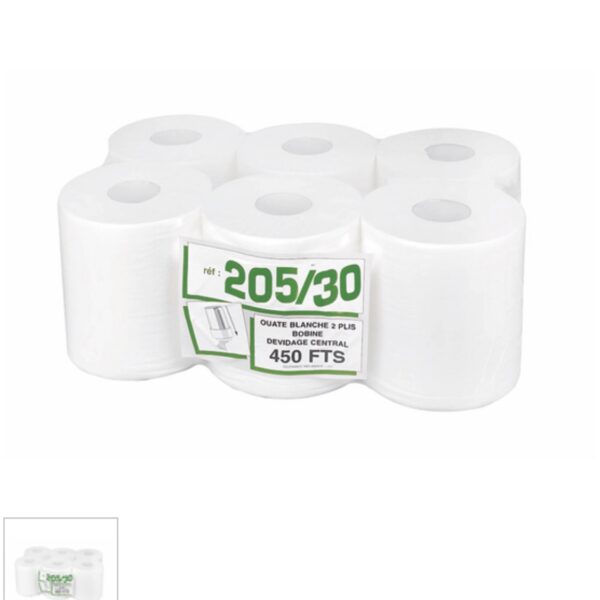 Bobines Essuie-mains 450 Formats Lisses 6 Rouleaux