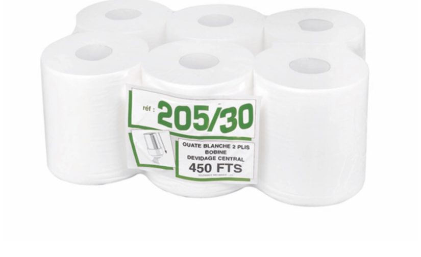 Bobines Essuie-mains 450 Formats Lisses 6 Rouleaux - Image 4
