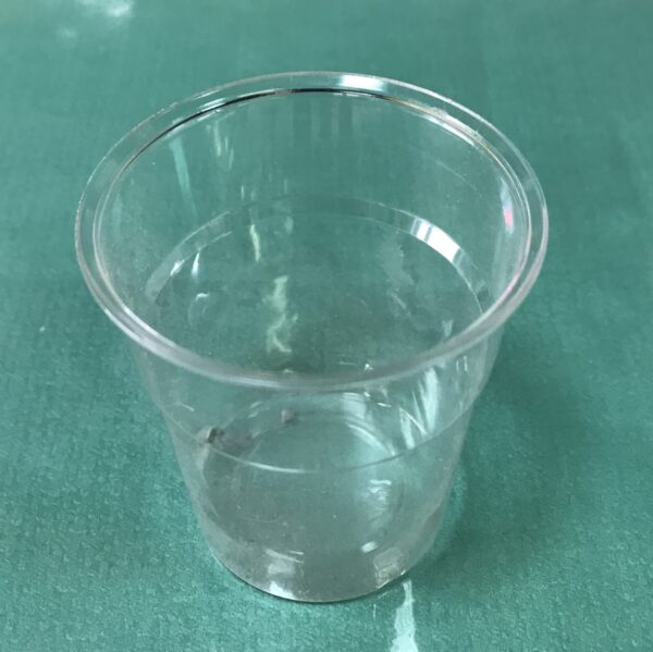 Verres Dégustation Plastiques Cristals 10 mls 50 Verres