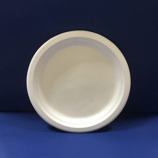 50 Assiettes Rondes Bio 22 Cms en Pulpe