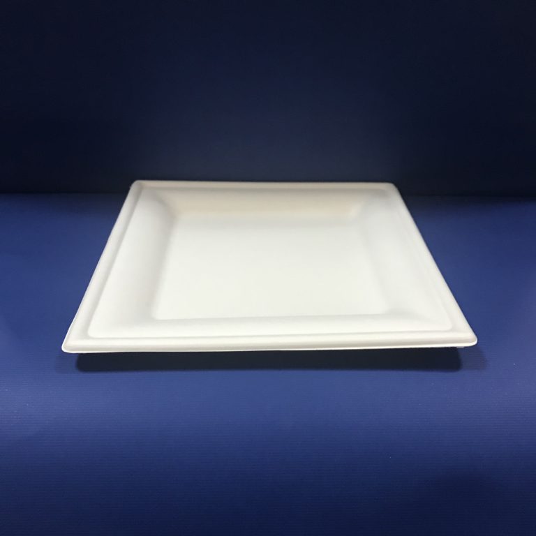50 Assiettes Carré Bio 20 cm en Pulpe