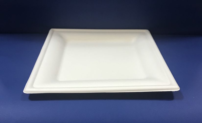 50 Assiettes Carré Bio 20 cm en Pulpe - Image 2