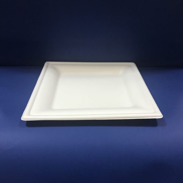 50 Assiettes Carré Bio 20 cm en Pulpe
