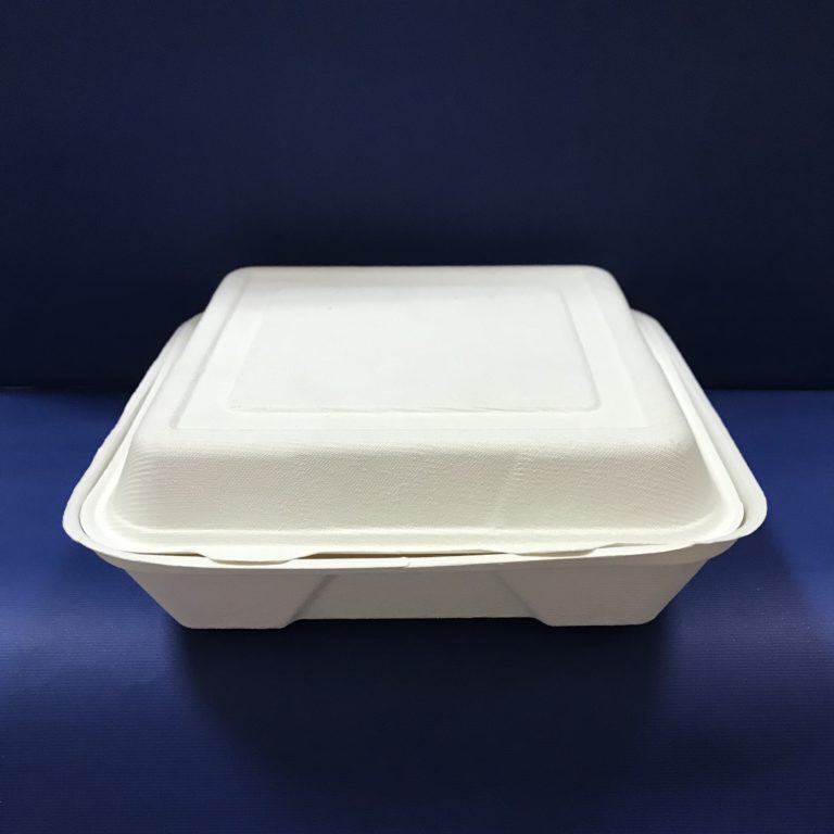 50 Coquilles Lunch Bio en Pulpe 430x200x45/39mm