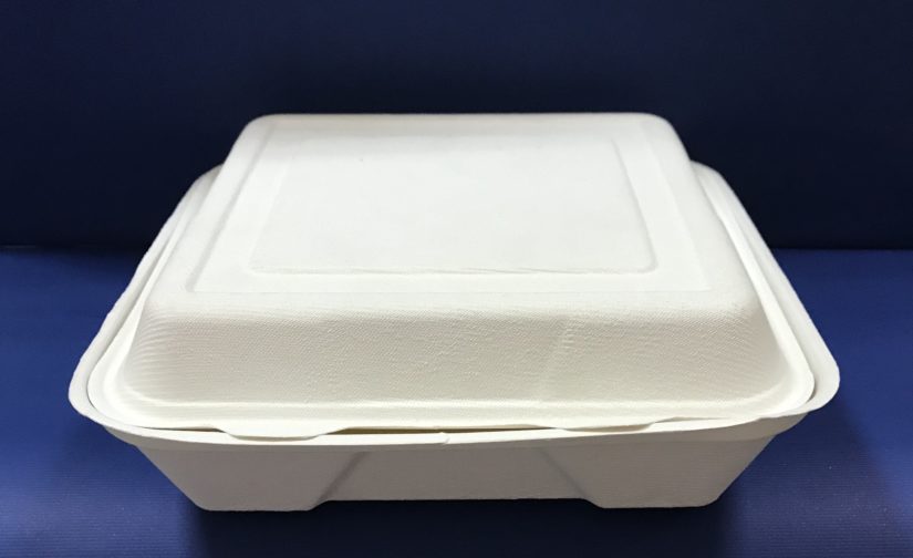 50 Coquilles Lunch Bio en Pulpe 430x200x45/39mm - Image 3