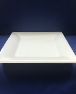 50 Assiettes Carré Bio 26 cm en Pulpe 10€