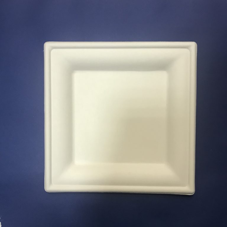 50 Assiettes Carré Bio 20 cm en Pulpe