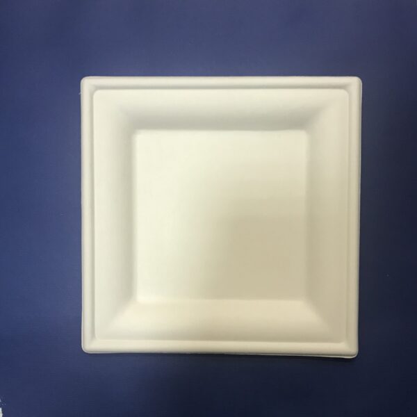 50 Assiettes Carré Bio 20 cm en Pulpe