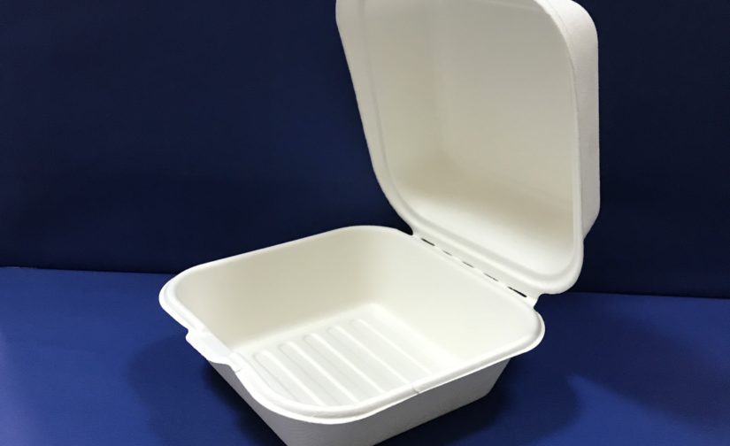 50 Boites Hamburgers Bio en Pulpe 45cl
