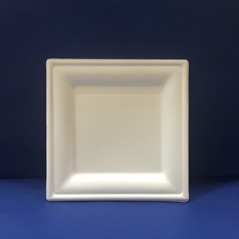 50 Assiettes Carré Bio 20 cm en Pulpe