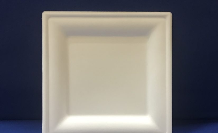 50 Assiettes Carré Bio 20 cm en Pulpe
