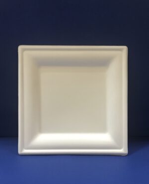 50 Assiettes Carré Bio 20 cm en Pulpe