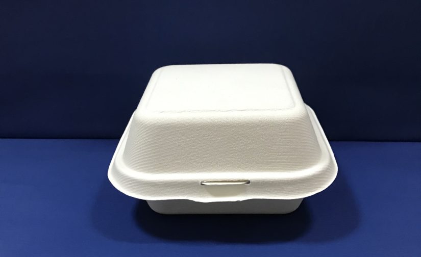 50 Boites Hamburgers Bio en Pulpe 45cl - Image 3