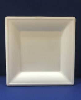 50 Assiettes Carré Bio 26 cm en Pulpe 10€