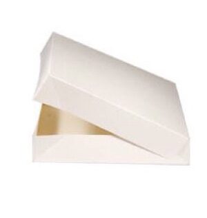 Boîtes Pâtisseries Blanches 20×5 cm 50 Boites