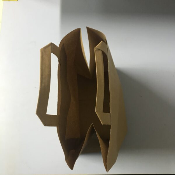 250 Sacs Krafts Renforcées Marron 22+10×28 cms